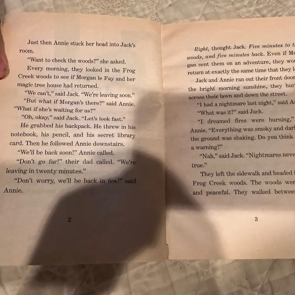 Vacation under the volcano- Magic tree house #13 - Picture 5 of 12